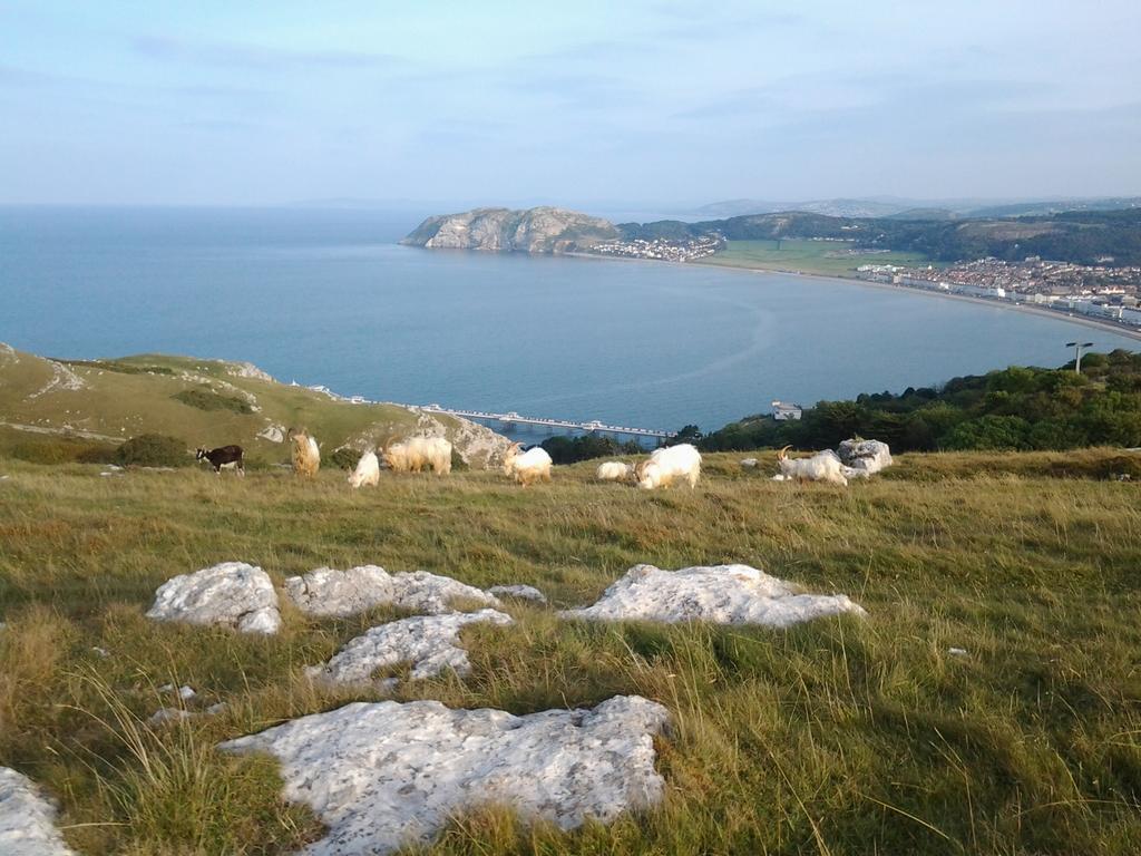 Clifton Villa Guest House Llandudno Exterior foto